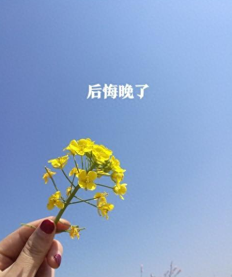 屏幕截图 2025-06-10 121728.png